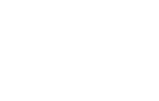 Lavi Vie